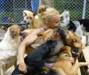 Dog and cat Shelter Thailand 